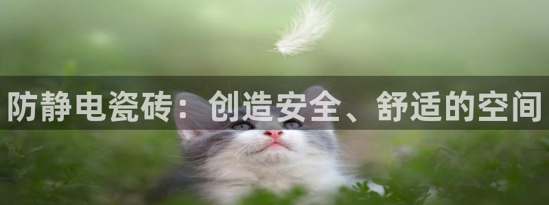 华润棋牌娱乐：防静电瓷砖：创造安全、舒适的空间