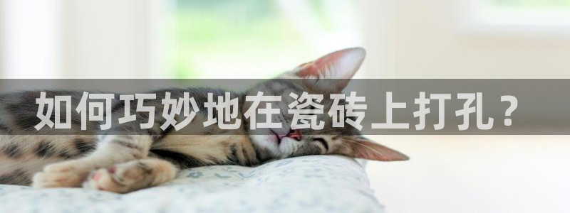 华润娱乐贴吧招聘