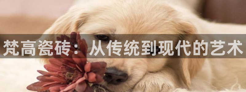 华润娱乐网站
