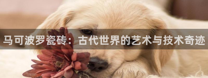 华润娱乐于六七五一38