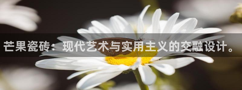 华润娱乐游戏