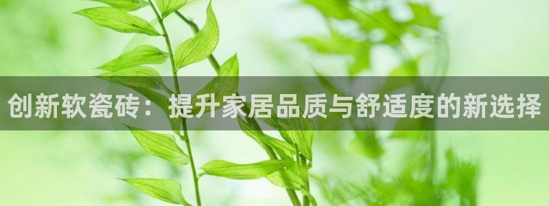 华润娱乐工作