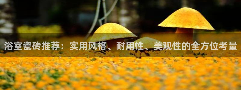 华润娱乐蚁122222