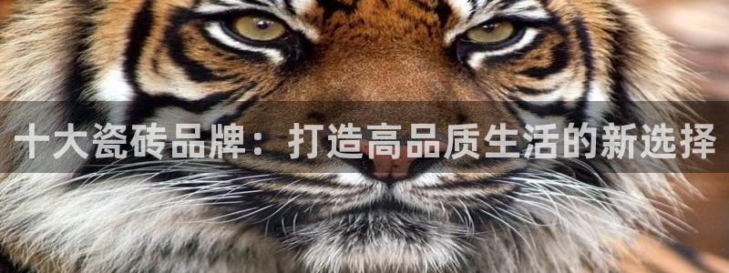 华润娱乐怎么注册