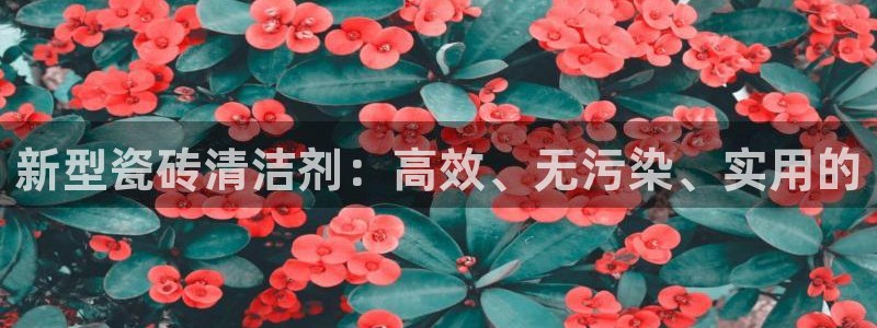 华润娱乐激灵系统