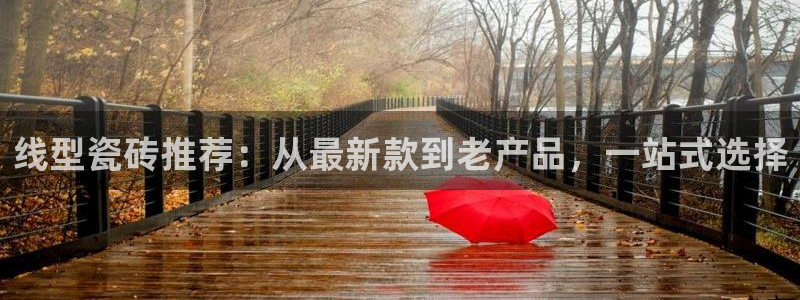 高州华润娱乐项目