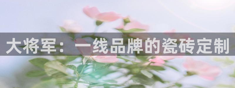 华润娱乐刑95692