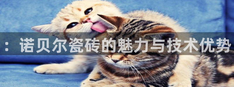 华润娱乐滴qv382223