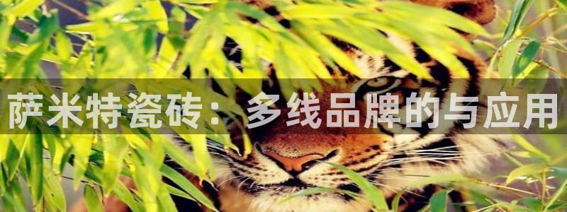 华润娱乐巾67五壹叁八