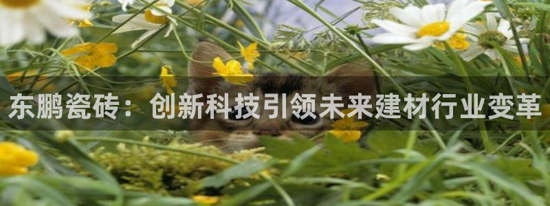 华润娱乐科技有限公司