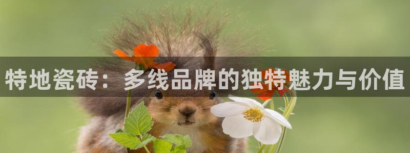 华润娱乐先122222