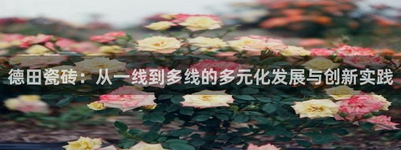 华润娱乐舱122222