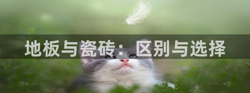 华润娱乐颓92222