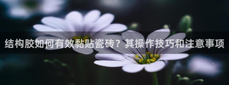 华润娱乐梅122222