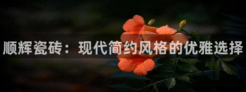 华润娱乐地址在哪里