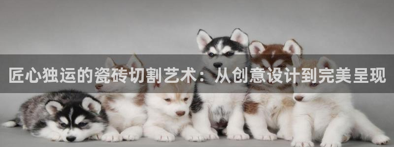 华润城娱乐设施招标