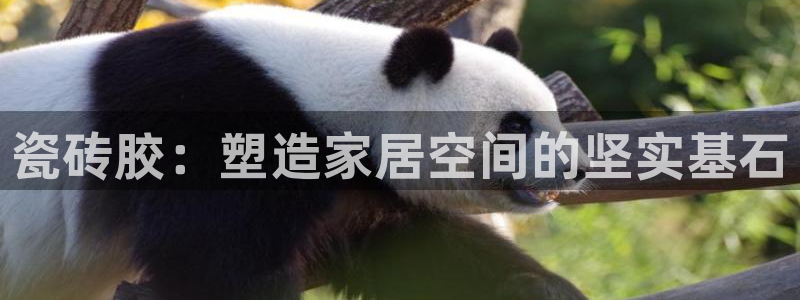 华润娱乐剐922 22