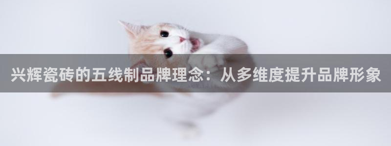 华润娱乐屡92222q