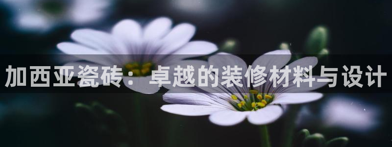 华润娱乐行580583