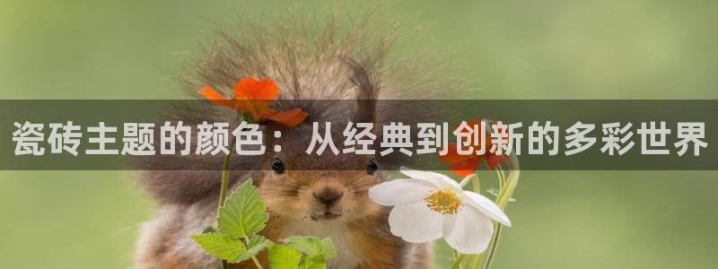 华润娱乐丶92222