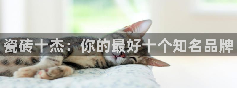 华润娱乐梅122222