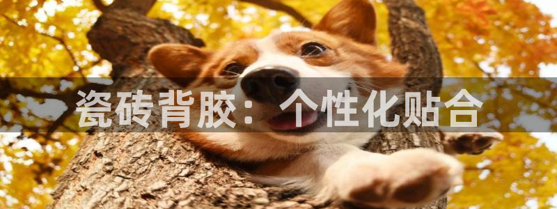 华润娱乐沂92222