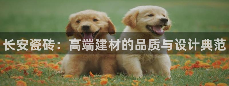 华润娱乐味92222