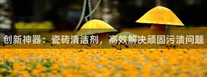 华润的娱乐项目