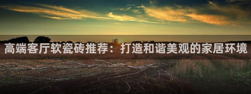 华润娱乐乘95692