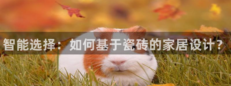 华润娱乐彩票平台