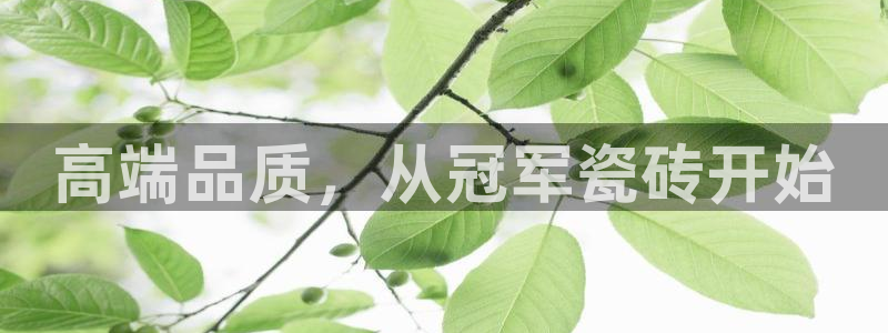 华润城娱乐设施招标