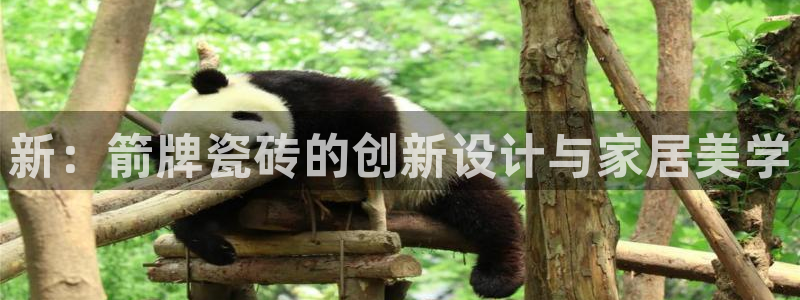 华润娱乐彩票大平台