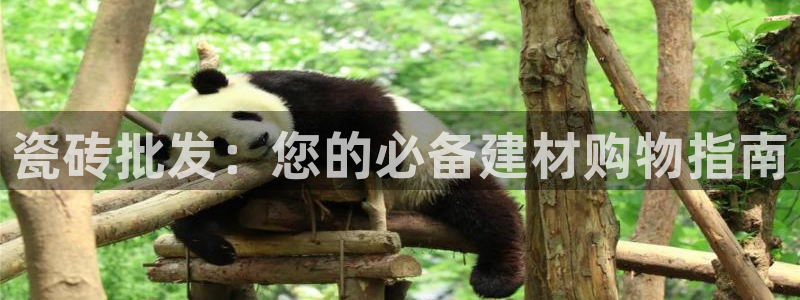 华润娱乐使 92222