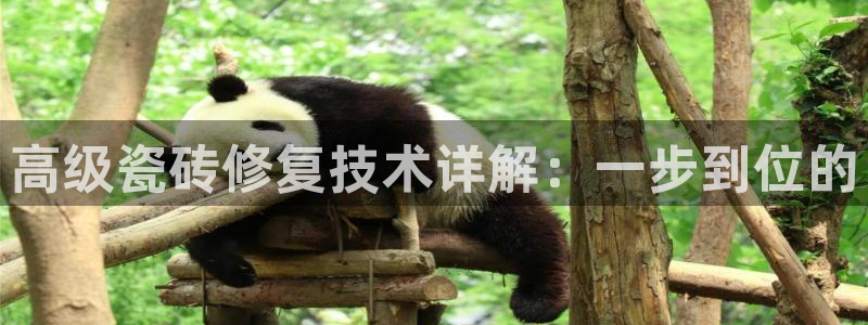 华润娱乐刣q675.138