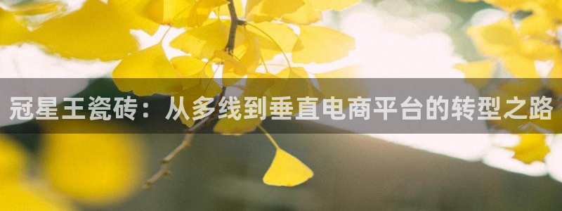 华润娱乐蜒95692