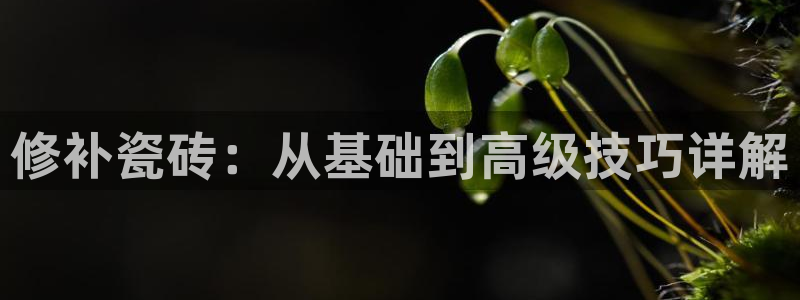 华润国际附近娱乐