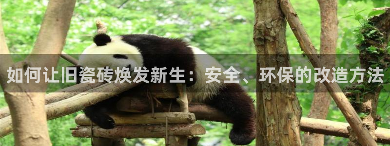 华润娱乐铀122222