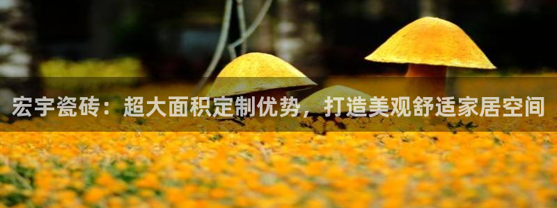 华润娱乐萄92222