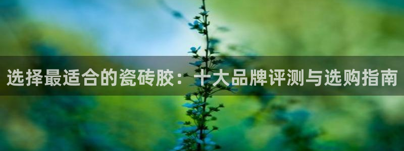 华润娱乐先122222