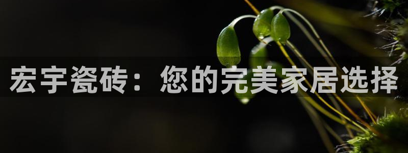 华润时代娱乐项目