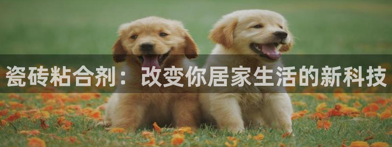 华润娱乐指尖可