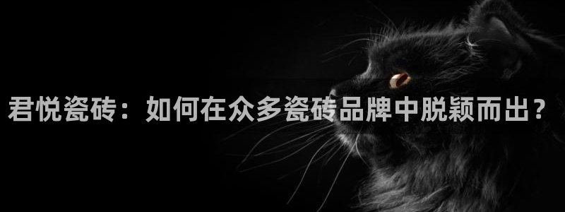 华润娱乐指尖会