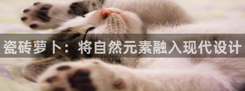 华润娱乐涌92222